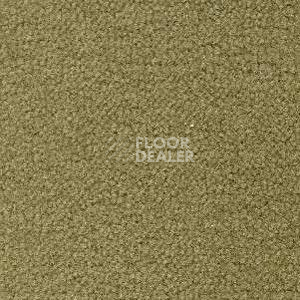 Ковролин Radici Forum Savana 2133 фото 1 | FLOORDEALER